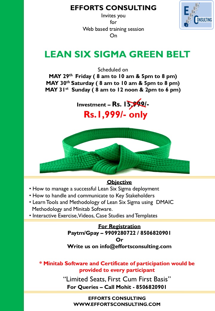 LSS Green Belt Course Efforts Consulting